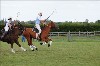 UKPA  NC Sat_1172